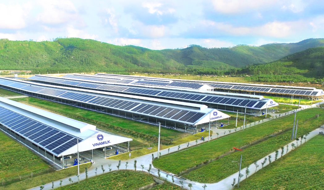 Hệ thống trang trại sinh th&aacute;i Vinamilk Green Farm l&agrave; kết quả nổi bật của Vinamilk trong việc thực hiện chiến lược ph&aacute;t triển bền vững