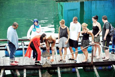 Dự &aacute;n Nu&ocirc;i cấy, chế t&aacute;c, kinh doanh ngọc trai tr&ecirc;n Vịnh Hạ Long cũng được thanh tra tỉnh Quảng Ninh nhắc đến trong kết luận Thanh tra mới đ&acirc;y.