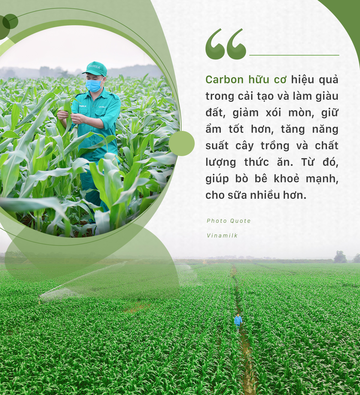 Doanh nghiệp được g&#236; từ đầu tư cho ph&#225;t triển bền vững? - Ảnh 4