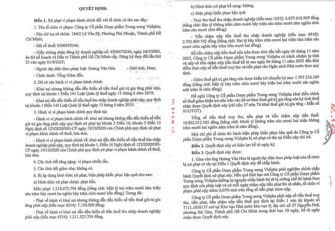 Dược phẩm Vidipha bị phạt, truy thu thuế hơn 10 tỷ đồng - Ảnh 1