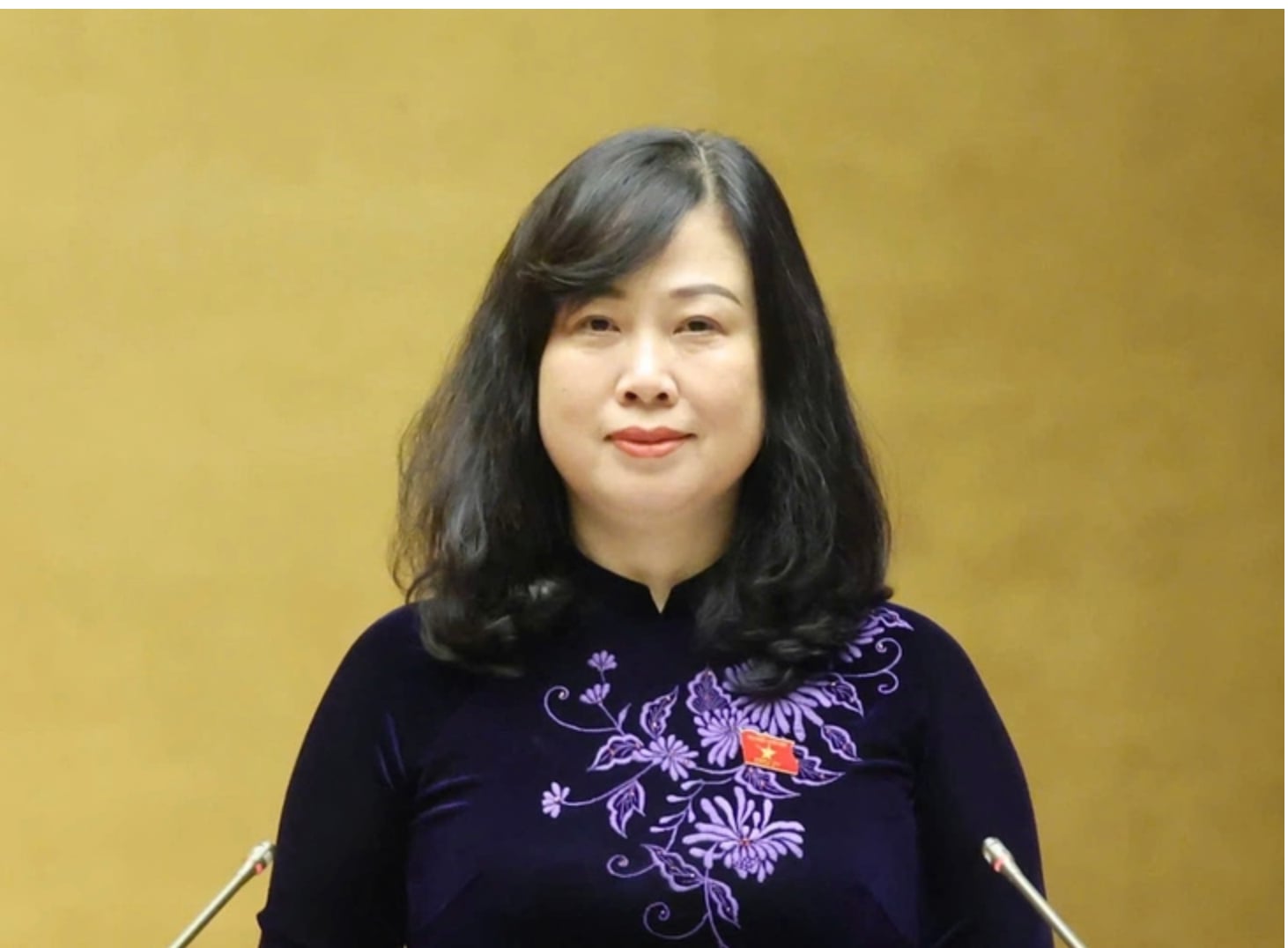 Bộ trưởng Y tế Đ&agrave;o Hồng Lan