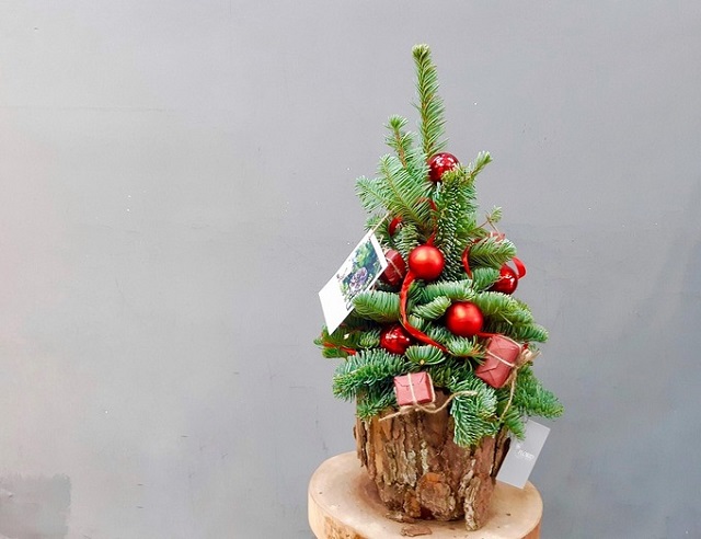 C&agrave;nh th&ocirc;ng tươi H&agrave; Lan được một cửa h&agrave;ng cắm th&agrave;nh chậu để b&aacute;n. Ảnh: Dỹ T&ugrave;ng. &nbsp;