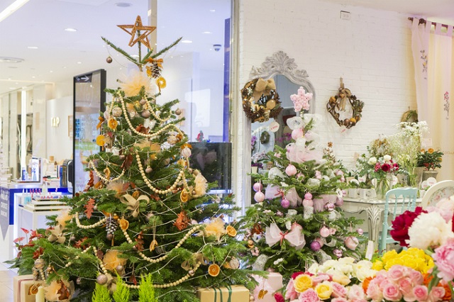 Th&#244;ng thật Gi&#225;ng Sinh gi&#225; h&#224;ng chục triệu h&#250;t kh&#225;ch - Ảnh 1