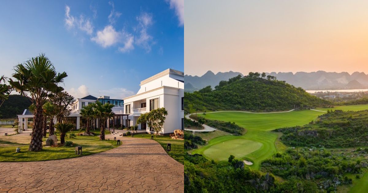 Th&aacute;ng 2/2018, th&ocirc;ng qua c&ocirc;ng ty con l&agrave; C&ocirc;ng ty TNHH TCG Land, Tập đo&agrave;n Th&agrave;nh C&ocirc;ng (TC Group) đ&atilde; mua 75% cổ phần tại PV-Inconess.