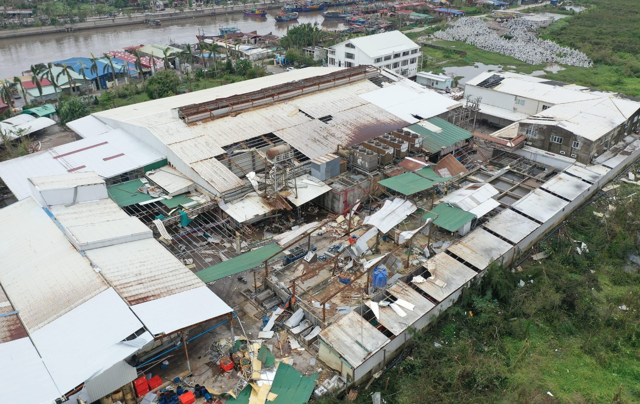 Bảo hiểm năm 2024: 10 dấu ấn nổi bật trong 1 năm biến động - Ảnh 1