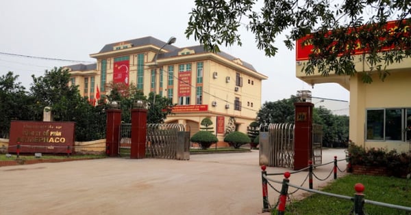 Phạt C&#244;ng ty Armephaco v&#224; C&#244;ng ty Đại Nam v&#236; vi phạm chứng kho&#225;n - Ảnh 1