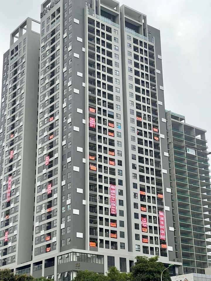 Chung cư Dreamland Bonanza.