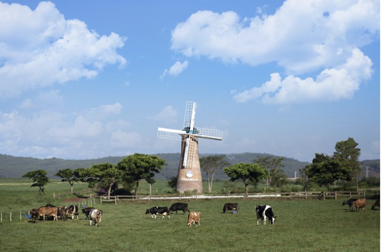 Với những tiềm năng ph&aacute;t triển trong tương lai, mảng sữa vẫn l&agrave; lĩnh vực kinh doanh trọng t&acirc;m của Vinamilk. Ảnh: Vinamilk &nbsp;