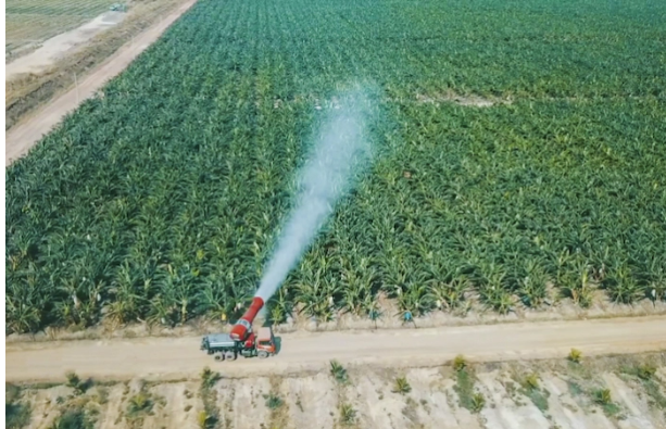 HAGL Agrico: Năm 2023 tiếp tục kh&ocirc;ng lợi nhuận, lỗ luỹ kế hơn 8.000 tỷ đồng