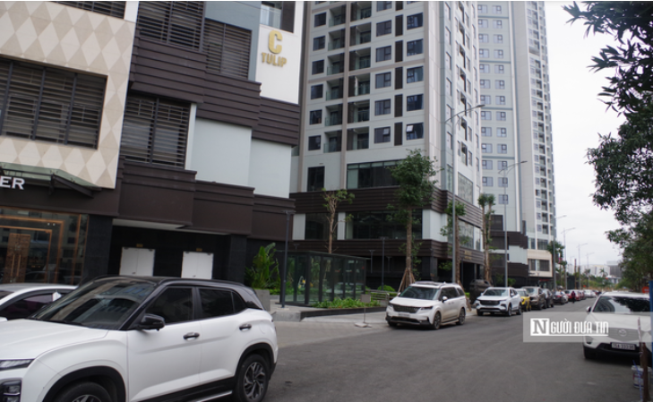 Dự &aacute;n Ho&agrave;ng Huy Commerce m&agrave; CRV đ&atilde; đầu tư đem lại doanh thu h&agrave;ng ngh&igrave;n tỷ đồng cho tập đo&agrave;n.