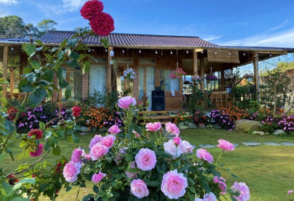 Gi&aacute; nh&agrave; tăng cao, nhiều bạn trẻ t&iacute;nh &lsquo;bỏ phố về qu&ecirc;&rsquo; (ảnh minh họa)