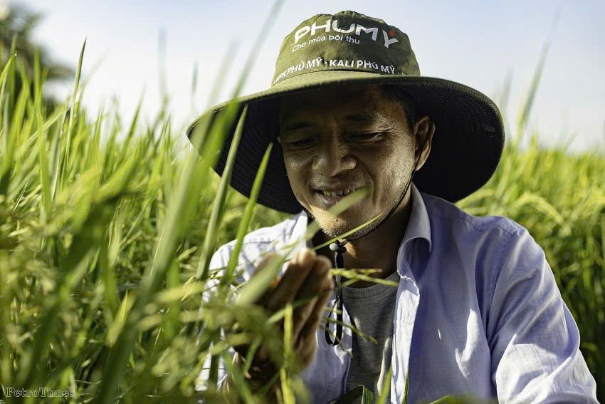 Cổ đ&#244;ng Đạm Ph&#250; Mỹ sẽ nhận 15% cổ tức tiền mặt v&#224; 73,7% cổ phiếu mới trong năm nay - Ảnh 2