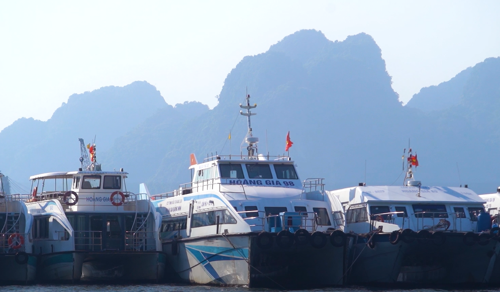 Đội t&agrave;u của c&ocirc;ng ty TNHH Đầu tư Thương mại v&agrave; du lịch Ho&agrave;ng Gia sẵn s&agrave;ng đ&oacute;n kh&aacute;ch du lịch