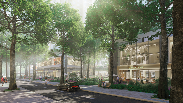 Shopping giữa rừng