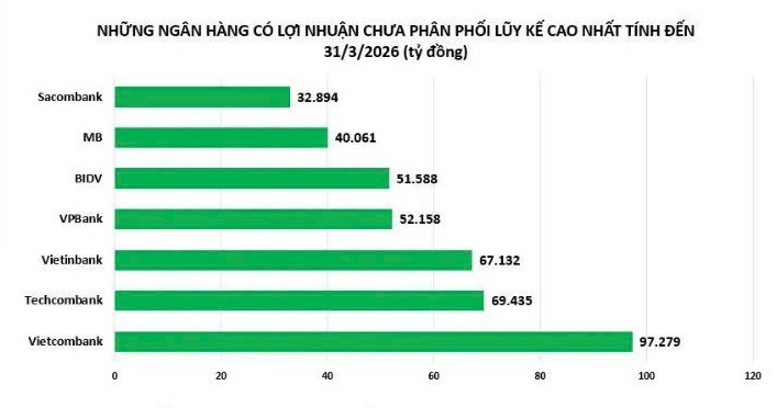 Ngân hàng nào đang sở hữu kho lợi nhuận tích lũy lớn nhất? - Ảnh 2