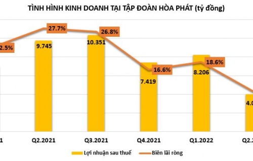 L&#253; do g&#236; khiến lợi nhuận Qu&#253; 2/2022 của Tập đo&#224;n H&#242;a Ph&#225;t giảm s&#226;u, d&#242;ng tiền &#39;hao hụt&#39; mạnh? - Ảnh 1