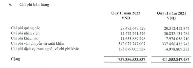 Nguồn: BCTC hợp nhất qu&yacute; 2/2022.