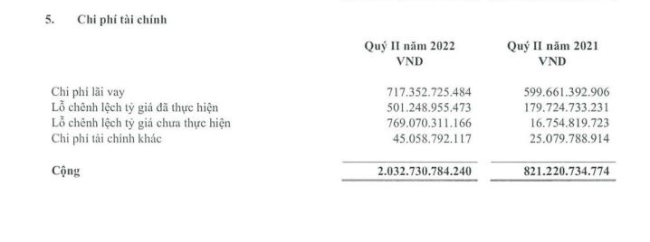 Nguồn: BCTC hợp nhất qu&yacute; 2/2022.