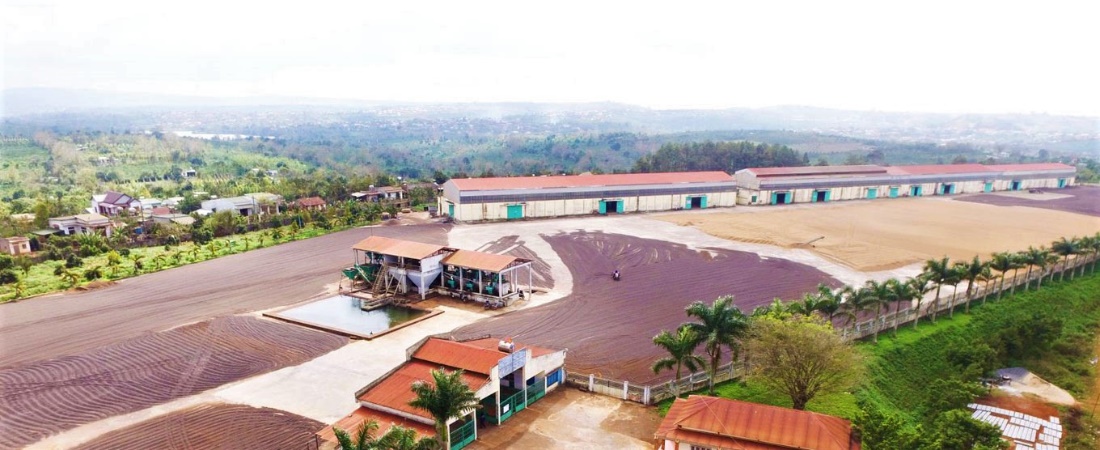 V&ugrave;ng đất di sản CADA ch&iacute;nh l&agrave; nơi khởi nguồn của ng&agrave;nh c&agrave; ph&ecirc; Việt Nam.