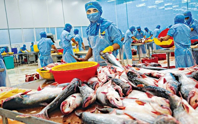 Chi phí tăng đè lợi nhuận xuống, DN thuỷ sản trong chuỗi ngày trầm lắng - Ảnh 1