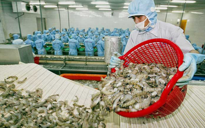 Chi phí tăng đè lợi nhuận xuống, DN thuỷ sản trong chuỗi ngày trầm lắng - Ảnh 2