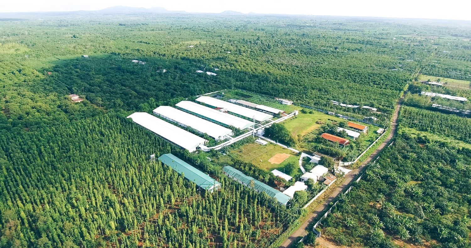 N&ocirc;ng nghiệp - n&ocirc;ng th&ocirc;n v&agrave; c&aacute;c đ&ocirc; thị loại 2 ch&iacute;nh l&agrave; một trong c&aacute;c ph&acirc;n kh&uacute;c chiến lược, c&oacute; sức hấp thụ t&iacute;n dụng tốt v&agrave; đầy tiềm năng - Ảnh: VGP/LN