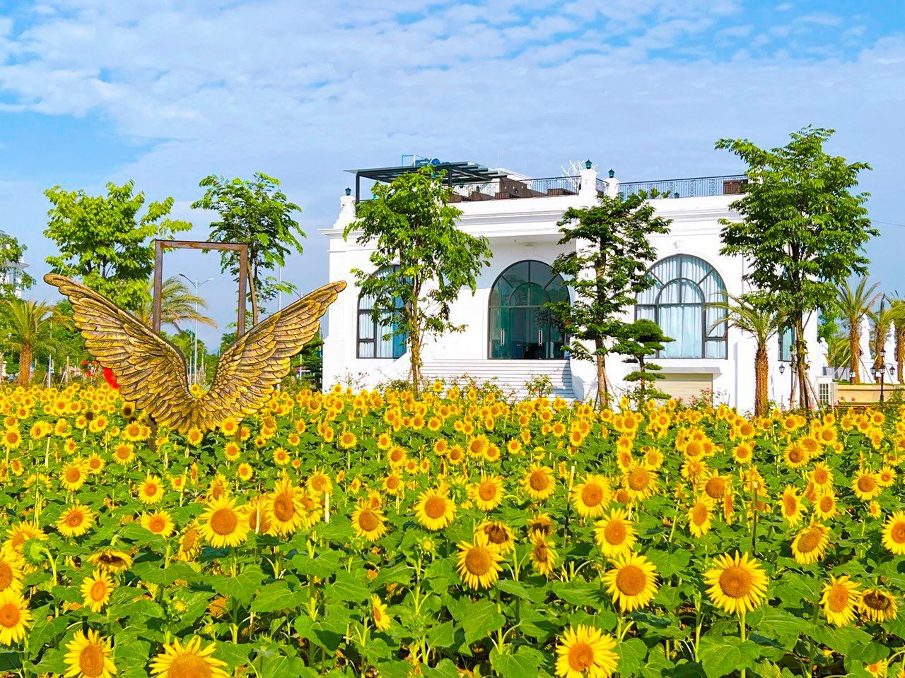 Nh&#224; đầu tư bất động sản kh&#244;ng ngại &quot;xuống tiền&quot; th&#225;ng ng&#226;u  - Ảnh 1