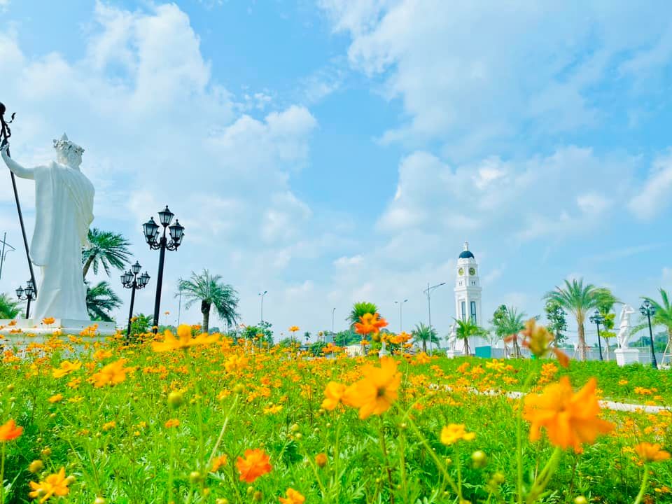 Vườn hoa bướm khoe sắc rực rỡ dưới nắng v&agrave;ng m&ugrave;a thu