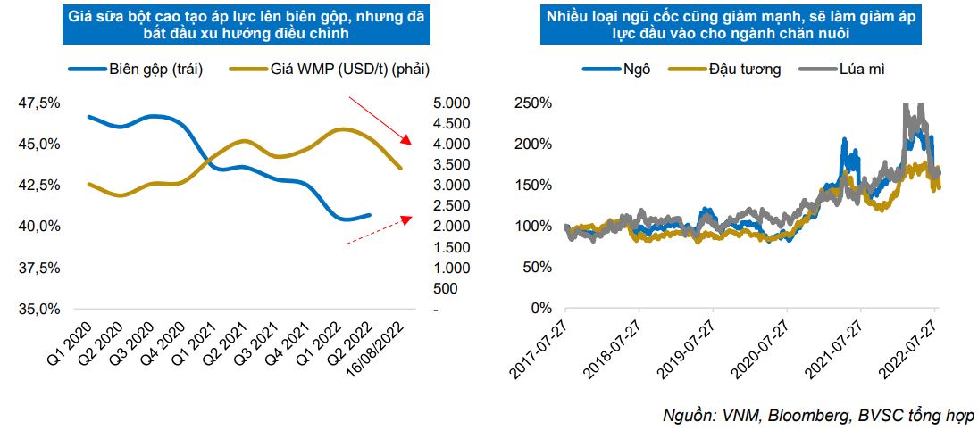 T&#237;n hiệu t&#237;ch cực ng&#224;y c&#224;ng r&#245;, Vinamilk đ&#243;n đ&#224; hồi phục trong cuối năm 2022 - đầu năm 2023  - Ảnh 4