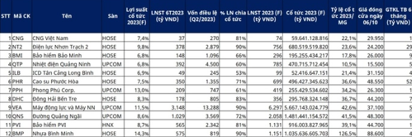 Danh s&aacute;ch c&aacute;c cổ phiếu c&oacute; tỷ suất trả cổ tức cao