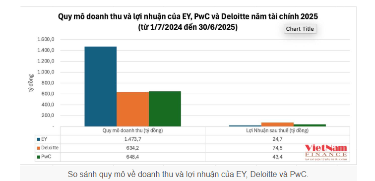 EY Việt Nam: Dẫn đầu về quy m&#244;, &#39;đuối sức&#39; về lợi nhuận - Ảnh 2