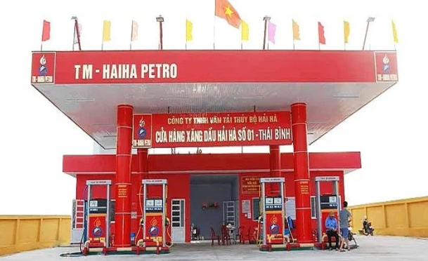 Đại gia xăng dầu vô địch nợ thuế: Vận tải thủy bộ Hải Hà nợ ngân sách gần 1.800 tỷ đồng - Ảnh 1