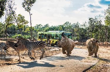 Vinpearl Safari Ph&uacute; Quốc &nbsp;