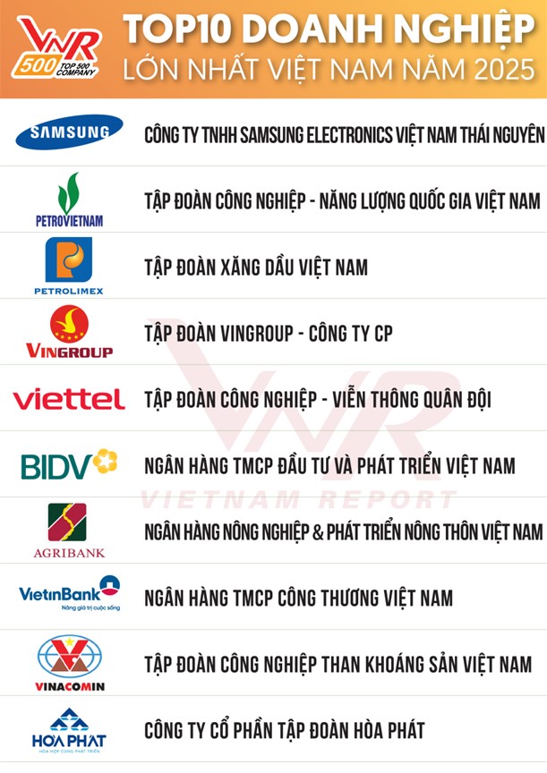 H&#242;a Ph&#225;t l&#224; doanh nghiệp sản xuất duy nhất lọt TOP 10 Doanh nghiệp lớn nhất Việt Nam - Ảnh 1