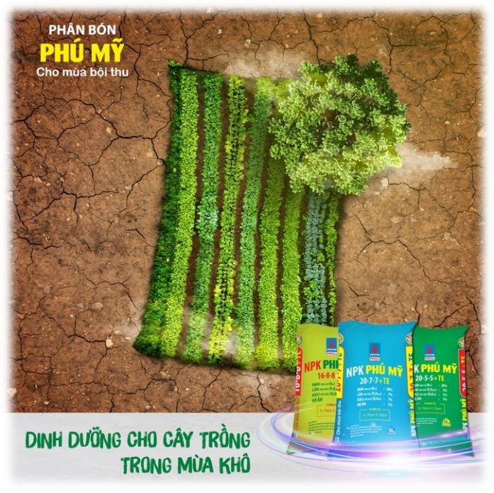 C&aacute;c sản phẩm NPK Ph&uacute; Mỹ cho c&acirc;y trồng trong m&ugrave;a kh&ocirc; &nbsp;