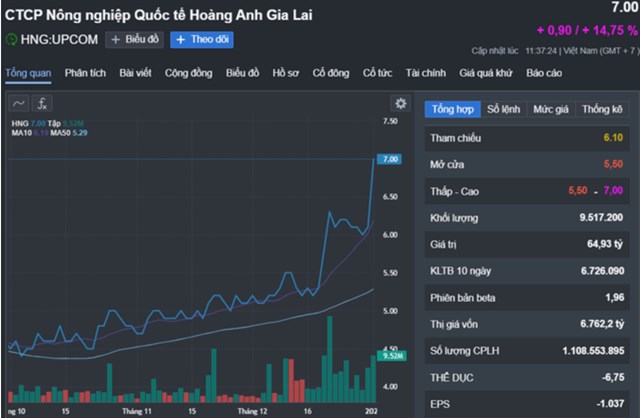 Cổ phiếu HNG tăng mạnh sau khi c&ocirc;ng bố th&ocirc;ng tin trả nợ cho c&ocirc;ng ty bầu Đức.