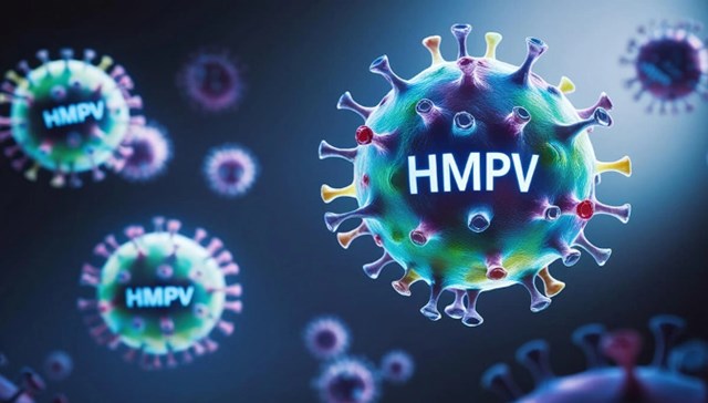 hMPV cũng l&agrave; một virus phổ biến g&acirc;y nhiễm tr&ugrave;ng h&ocirc; hấp (Ảnh: Artemis).