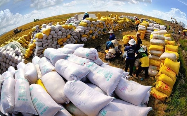 Xuất khẩu gạo năm 2023 cao kỷ lục, đạt gần 8,3 triệu tấn.