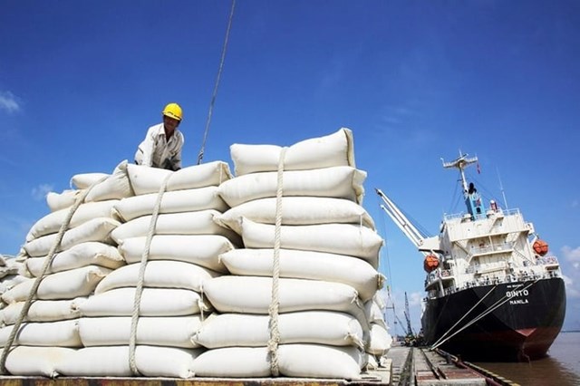 Xuất khẩu gạo c&oacute; thể mang về cho Việt Nam hơn 5 tỷ USD trong năm 2024.