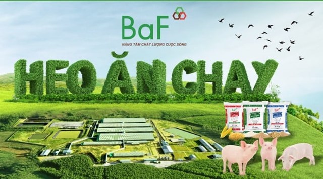 BAF tăng cường vay nợ nhưng sử dụng k&#233;m hiệu quả - Ảnh 1