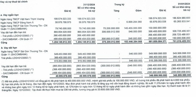 Cơ cấu nợ của LDG t&iacute;nh tới ng&agrave;y 31/12/2024.