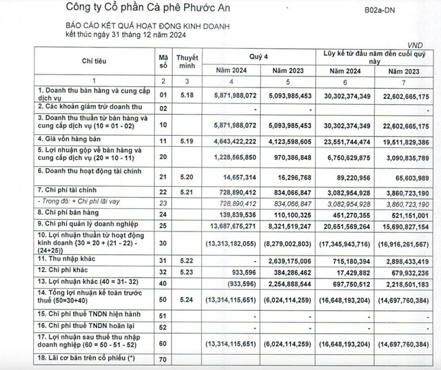 B&aacute;o c&aacute;o t&agrave;i ch&iacute;nh qu&yacute; IV/2024