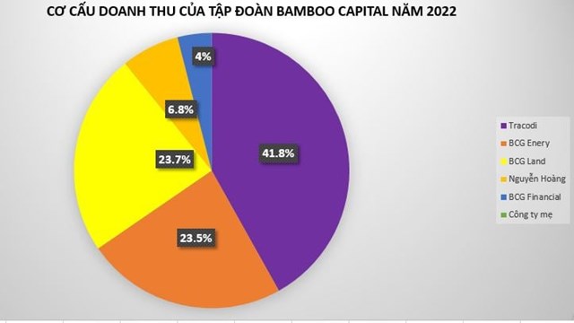 Tập đo&#224;n Bamboo Capital muốn b&#225;n bớt cổ phần c&#244;ng ty con, huỷ r&#243;t vốn v&#224;o Bảo hiểm AAA - Ảnh 2