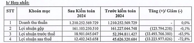 Lợi nhuận của Sợi Thế Kỷ "bốc hơi" 73% sau kiểm to&aacute;n