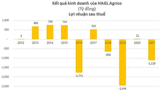 HAGL Agrico v&#224; tham vọng lợi nhuận trong năm 2022 - Ảnh 2