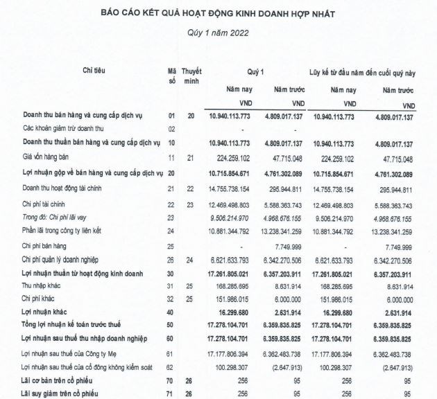 Nguồn: BCTC hợp nhất qu&yacute; 1/2022 tại DRH.