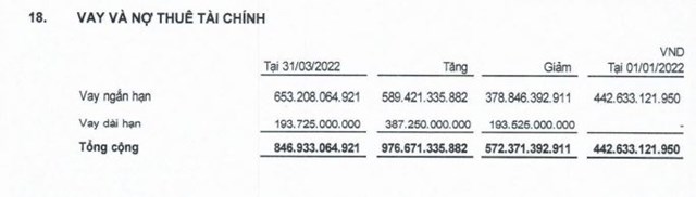 Nguồn: BCTC hợp nhất qu&yacute; 1/2022 tại DRH.