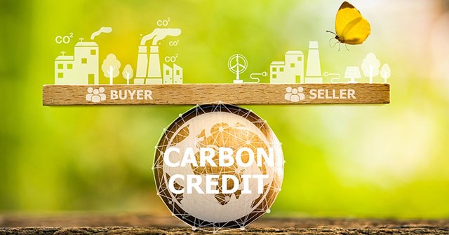 C&#244;ng nhận t&#224;i sản số, t&#237;n chỉ carbon l&#224; t&#224;i sản bảo đảm sẽ th&#250;c đẩy ph&#225;t triển bền vững - Ảnh 1