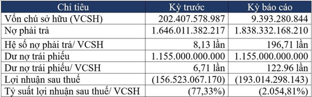 Chỉ ti&ecirc;u t&agrave;i ch&iacute;nh C&ocirc;ng ty Cổ phần Đầu tư Revital Việt Nam. Ảnh: Kinh tế Chứng kho&aacute;n