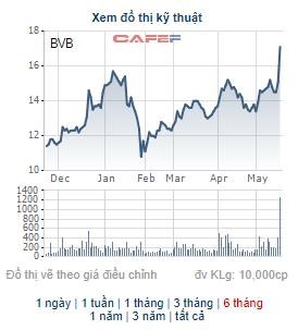 Diễn biến gi&aacute; cổ phiếu BVB trong 6 th&aacute;ng gần đ&acirc;y. &nbsp;